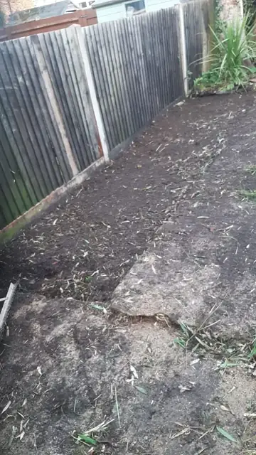 Bamboo clearance in progress, job photo 2