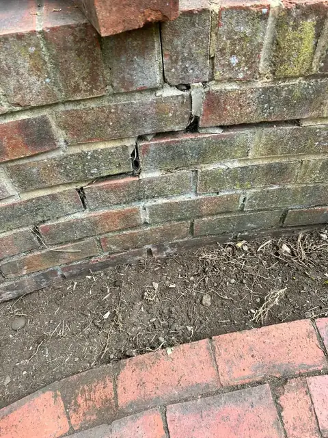 Patio and fence work after bamboo clearance, job photo 1