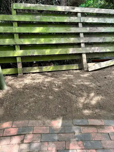 Patio and fence work after bamboo clearance, job photo 6
